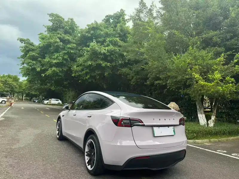 Model Y 2021 Standard Range Rear-Wheel Drive — миниатюра 5