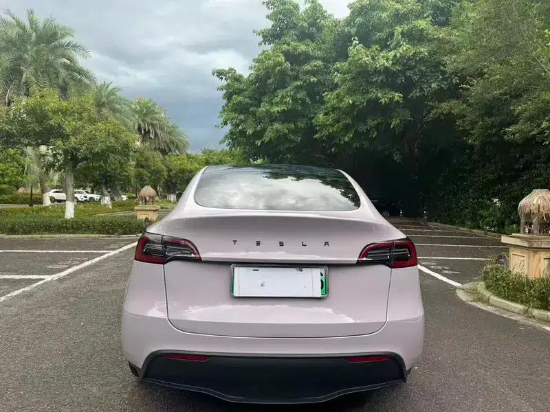 Model Y 2021 Standard Range Rear-Wheel Drive — миниатюра 6