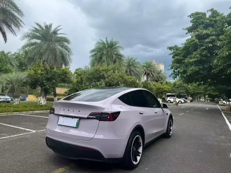 Model Y 2021 Standard Range Rear-Wheel Drive — миниатюра 7