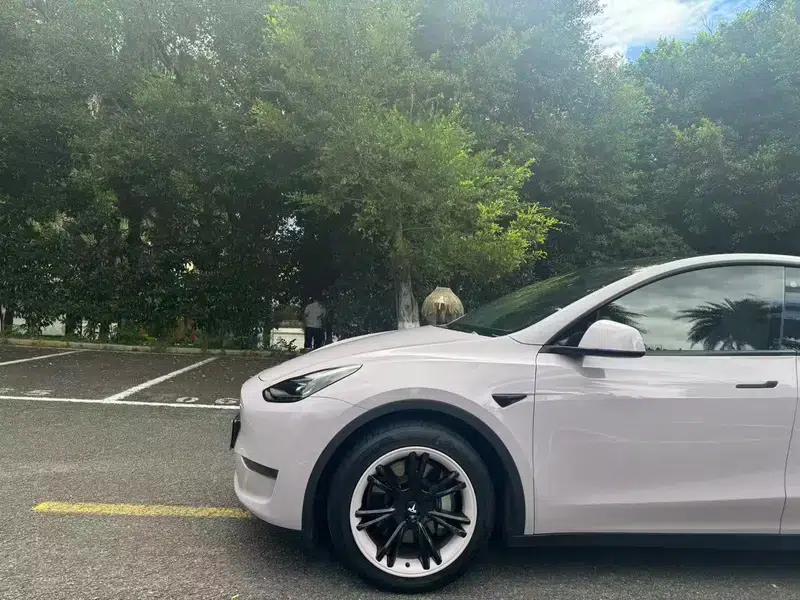 Model Y 2021 Standard Range Rear-Wheel Drive — миниатюра 8