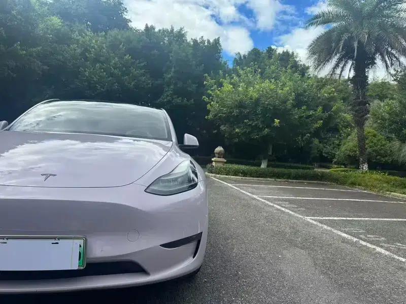 Model Y 2021 Standard Range Rear-Wheel Drive — миниатюра 9