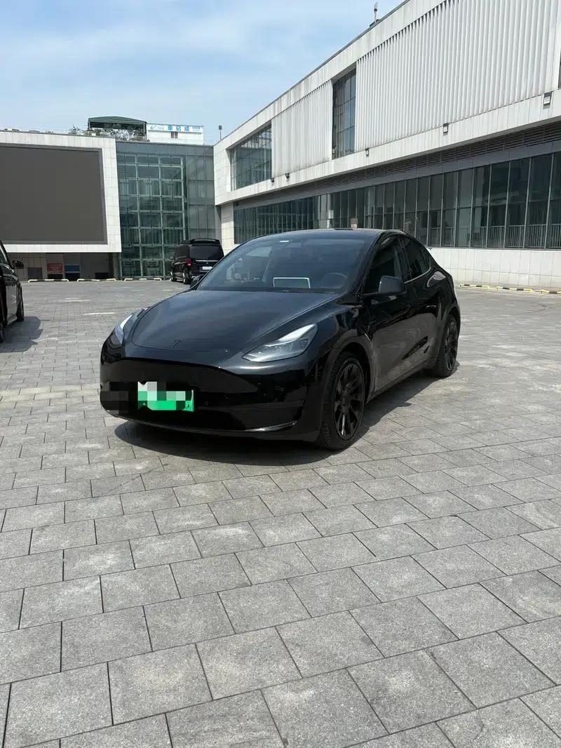 Model Y 2021 Long Range All-Wheel Drive — миниатюра 1