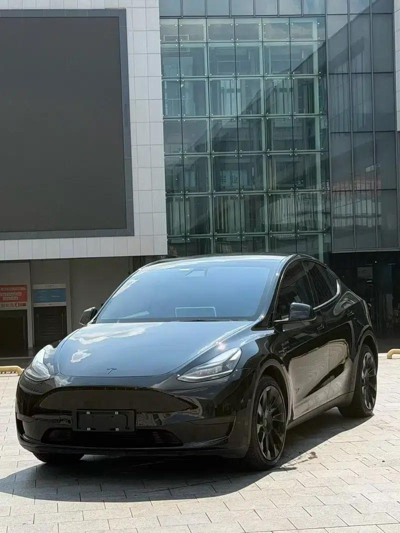 Model Y 2021 Long Range All-Wheel Drive — миниатюра 3