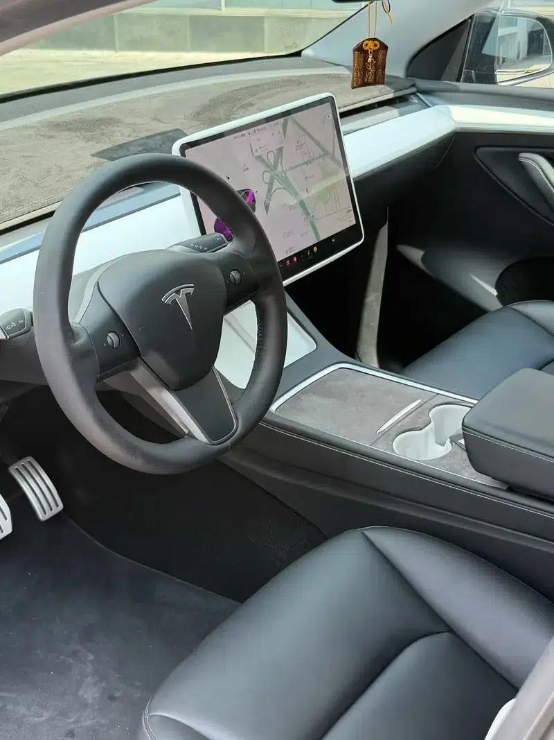 Model Y 2021 Long Range All-Wheel Drive — миниатюра 4