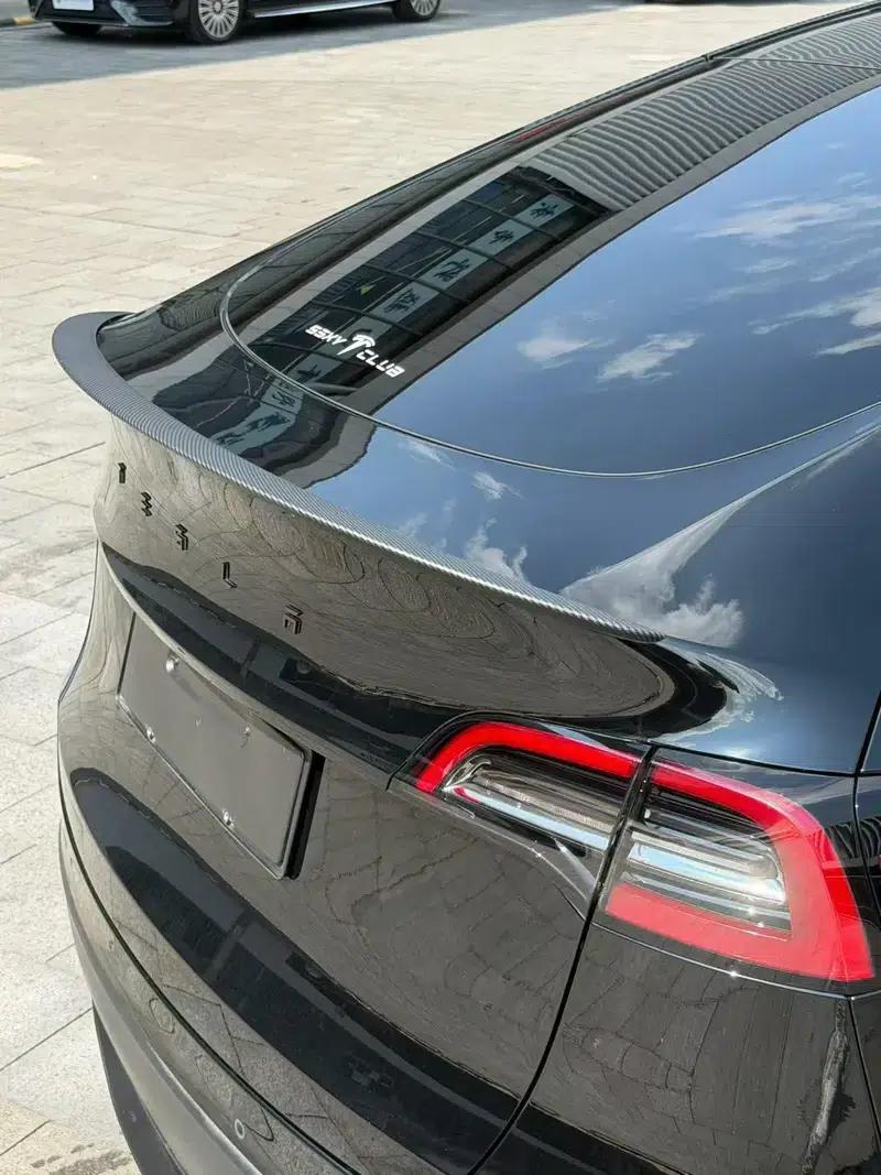 Model Y 2021 Long Range All-Wheel Drive — миниатюра 5