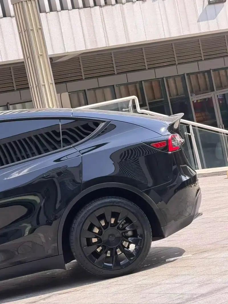Model Y 2021 Long Range All-Wheel Drive — миниатюра 6