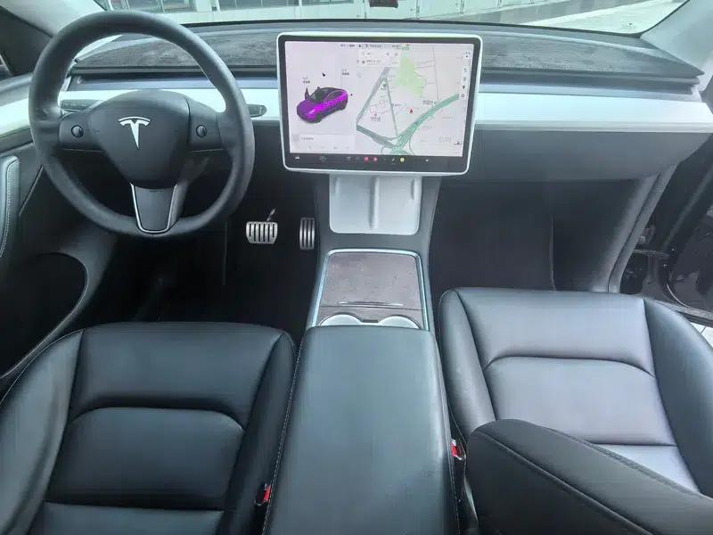 Model Y 2021 Long Range All-Wheel Drive — миниатюра 8