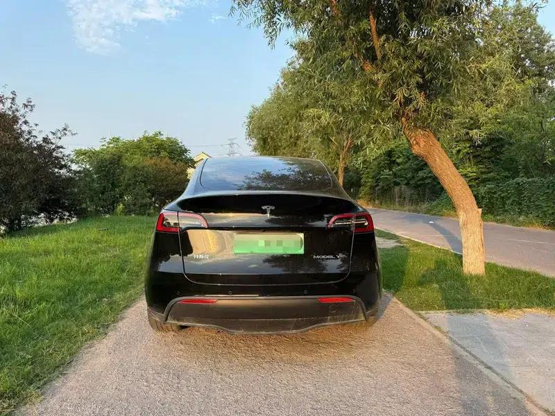 Model Y 2022 Rear-Wheel Drive — миниатюра 5