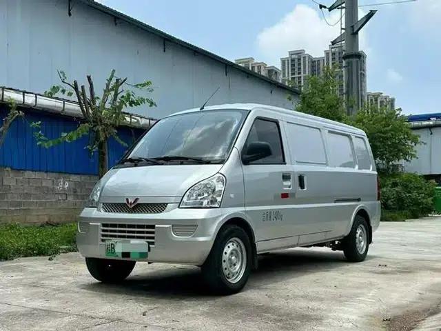 Wuling Rongguang EV 2020 Basic 2-Seater with Closed Windows 300km Range