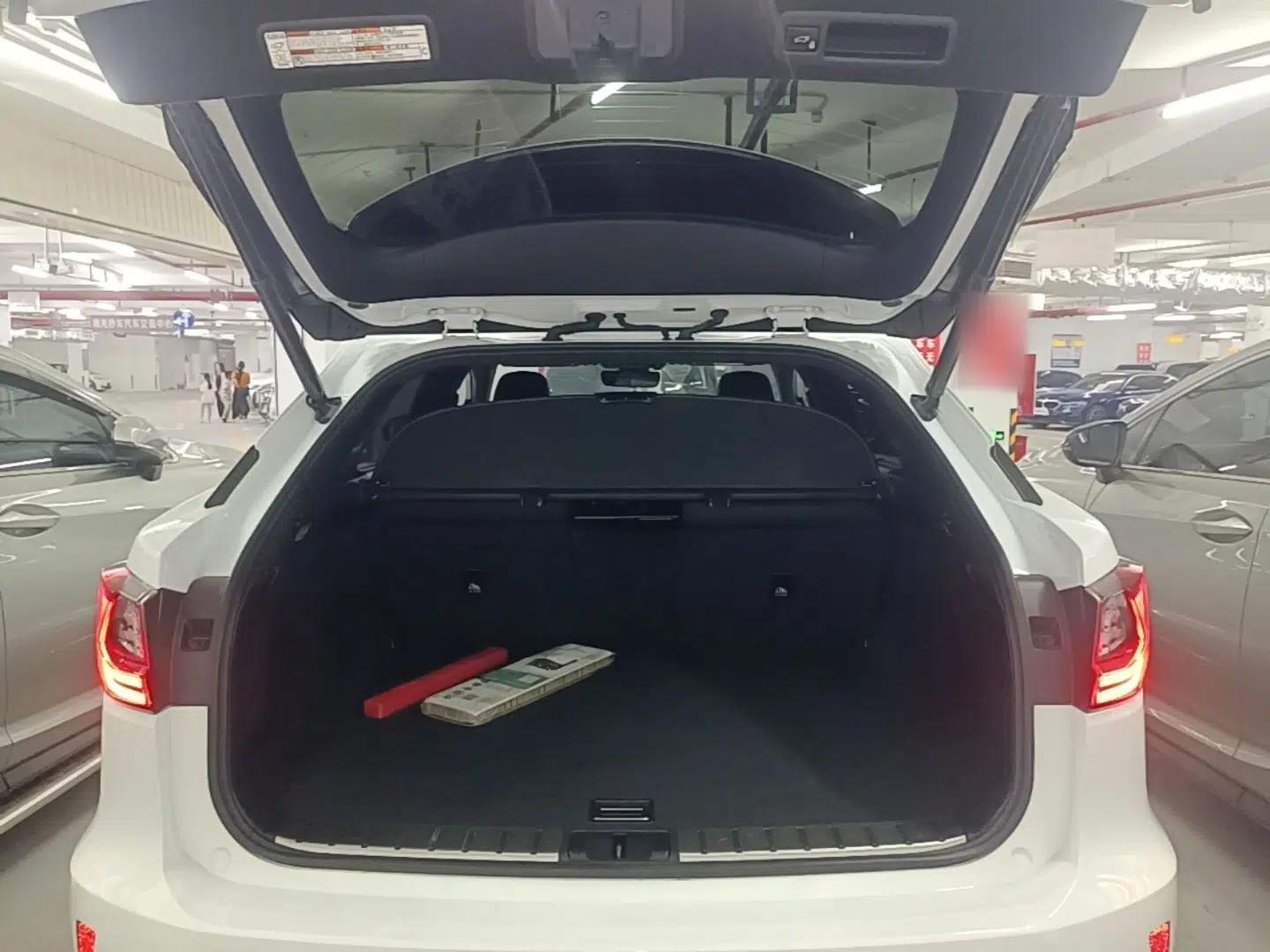 Lexus RX 2016 300 4x4 F SPORT Version China V Standard — миниатюра 22