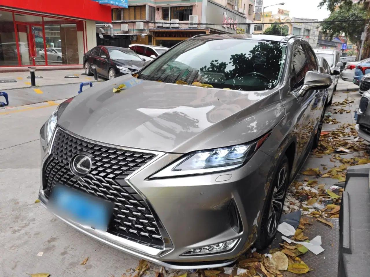 Lexus RX 2020 Facelifted 300 4x4 Elegant Edition — миниатюра 1