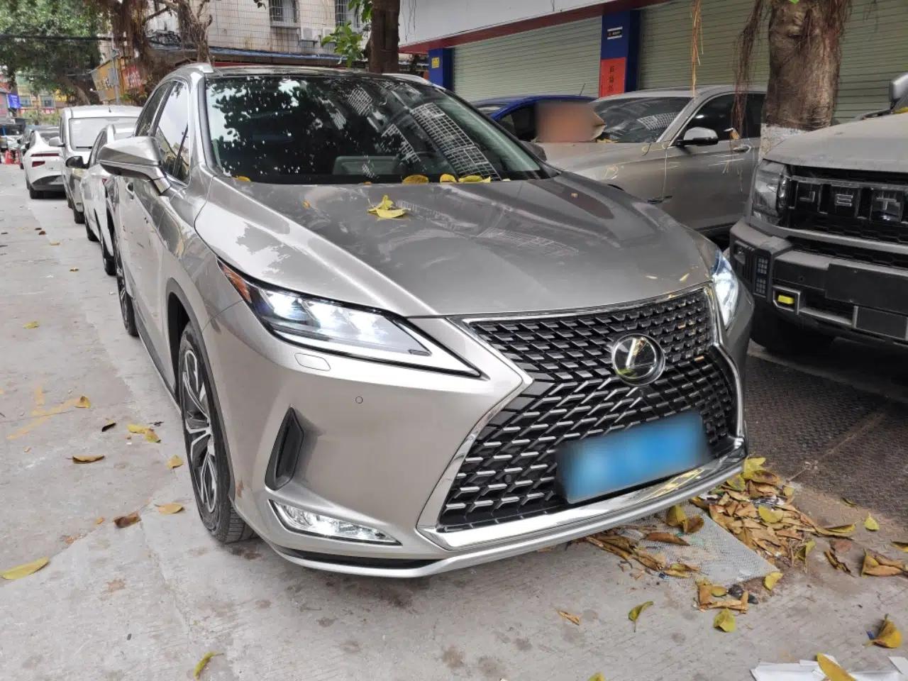 Lexus RX 2020 Facelifted 300 4x4 Elegant Edition — миниатюра 3