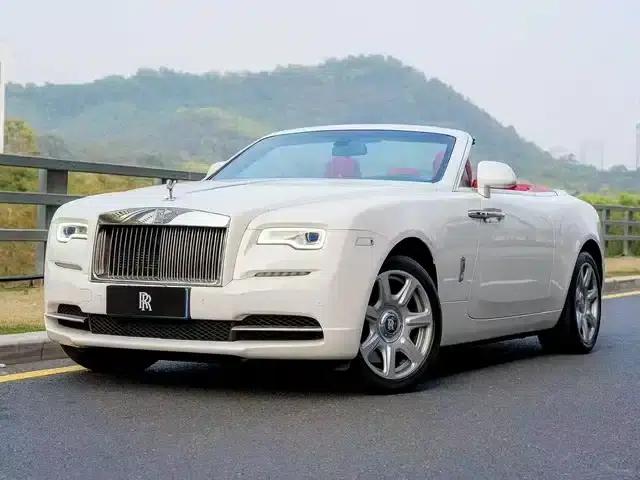 2015 Dawn 6.6T Standard Edition