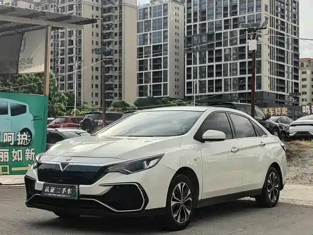 Venucia D60EV 2020 Standard Range Smart Edition