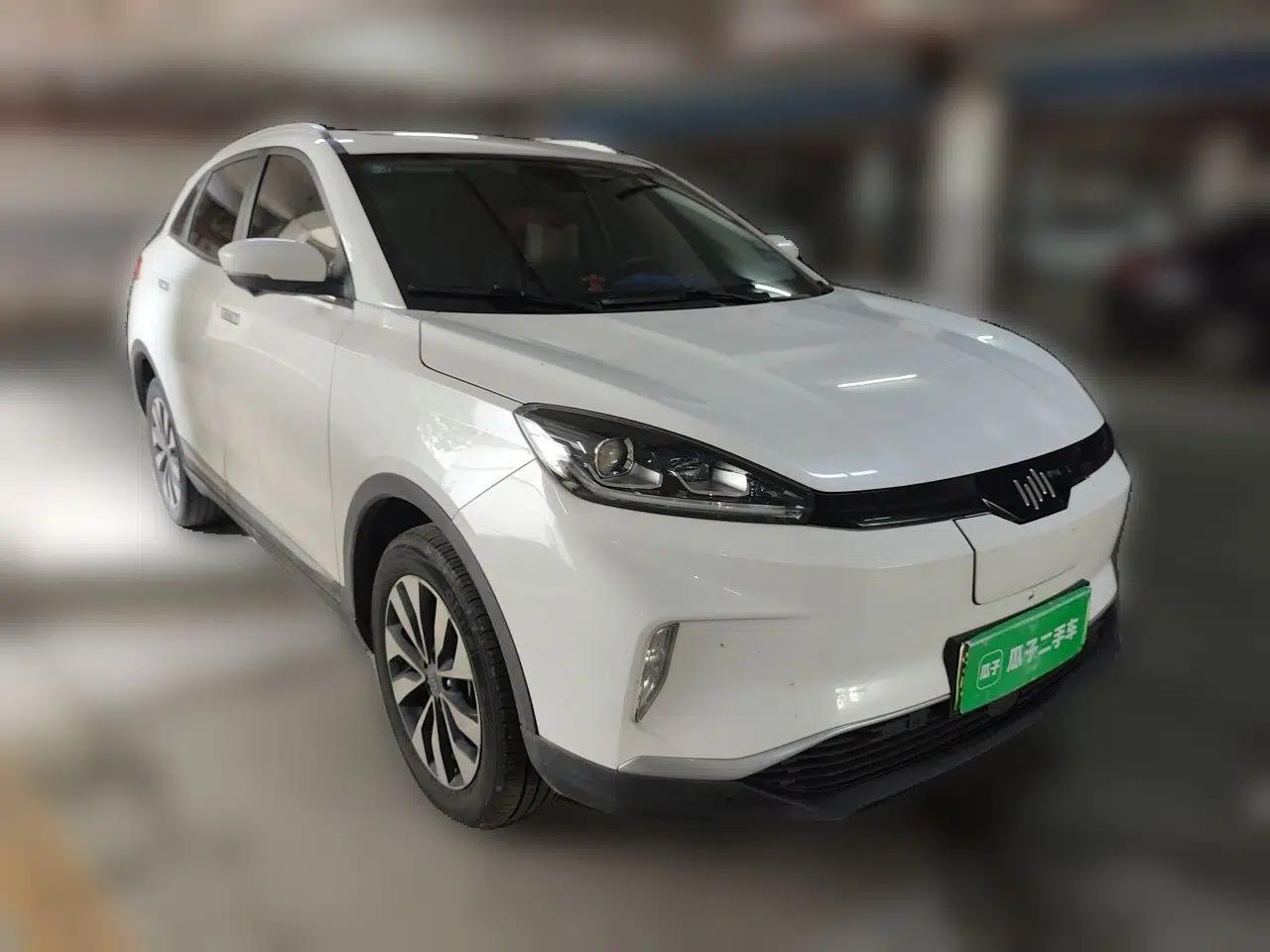 WM Motor EX5 2019 EX5 ZhiXing 2.0 Extra Innovation Edition 400 — миниатюра 3