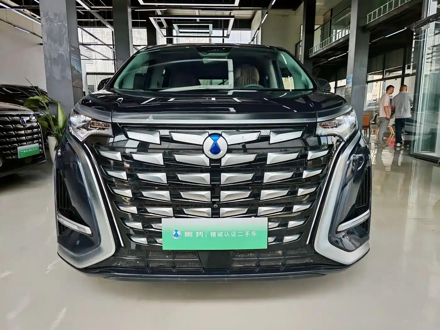 Denza D9 2022 DM-i 970 AWD Flagship Edition — миниатюра 2