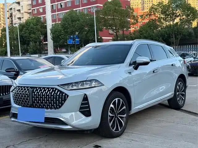 Wey brand Mocha 2021 2.0T 2WD Special Edition