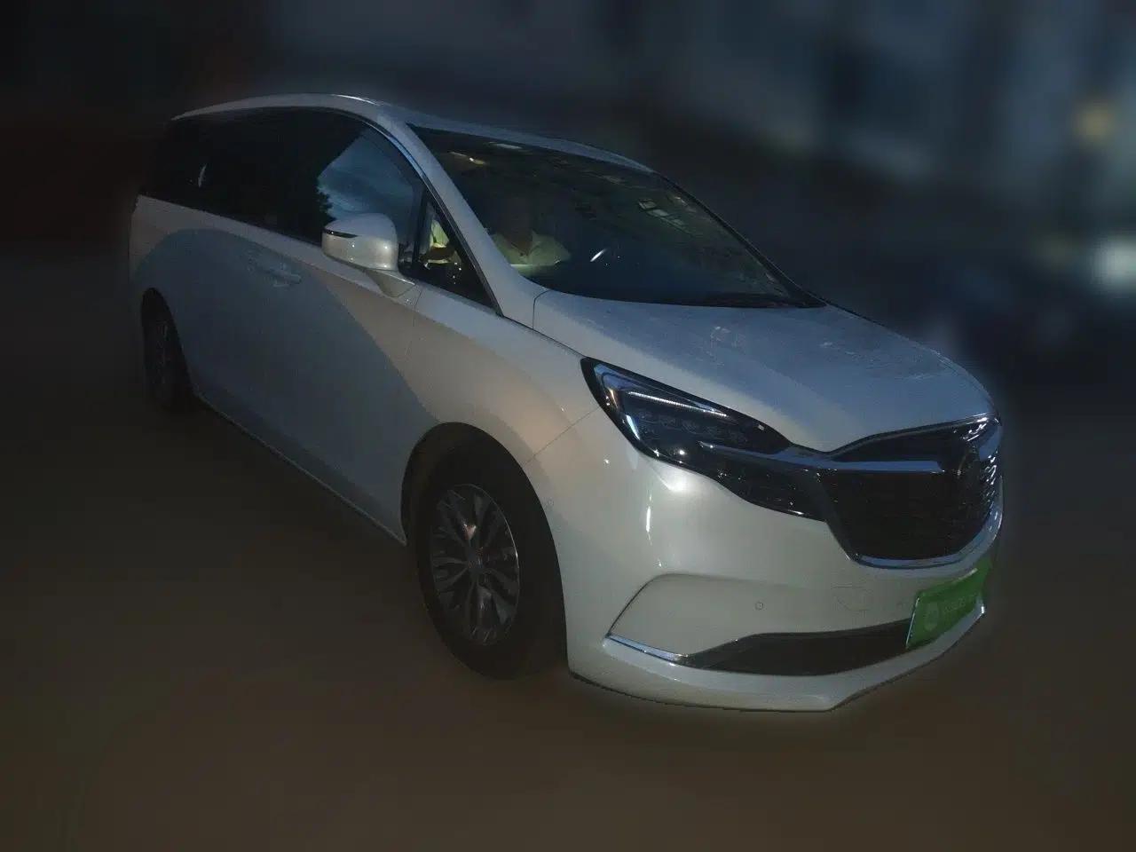 Buick GL8 2020 ES Land Cruiser 653T Luxury Edition — миниатюра 3