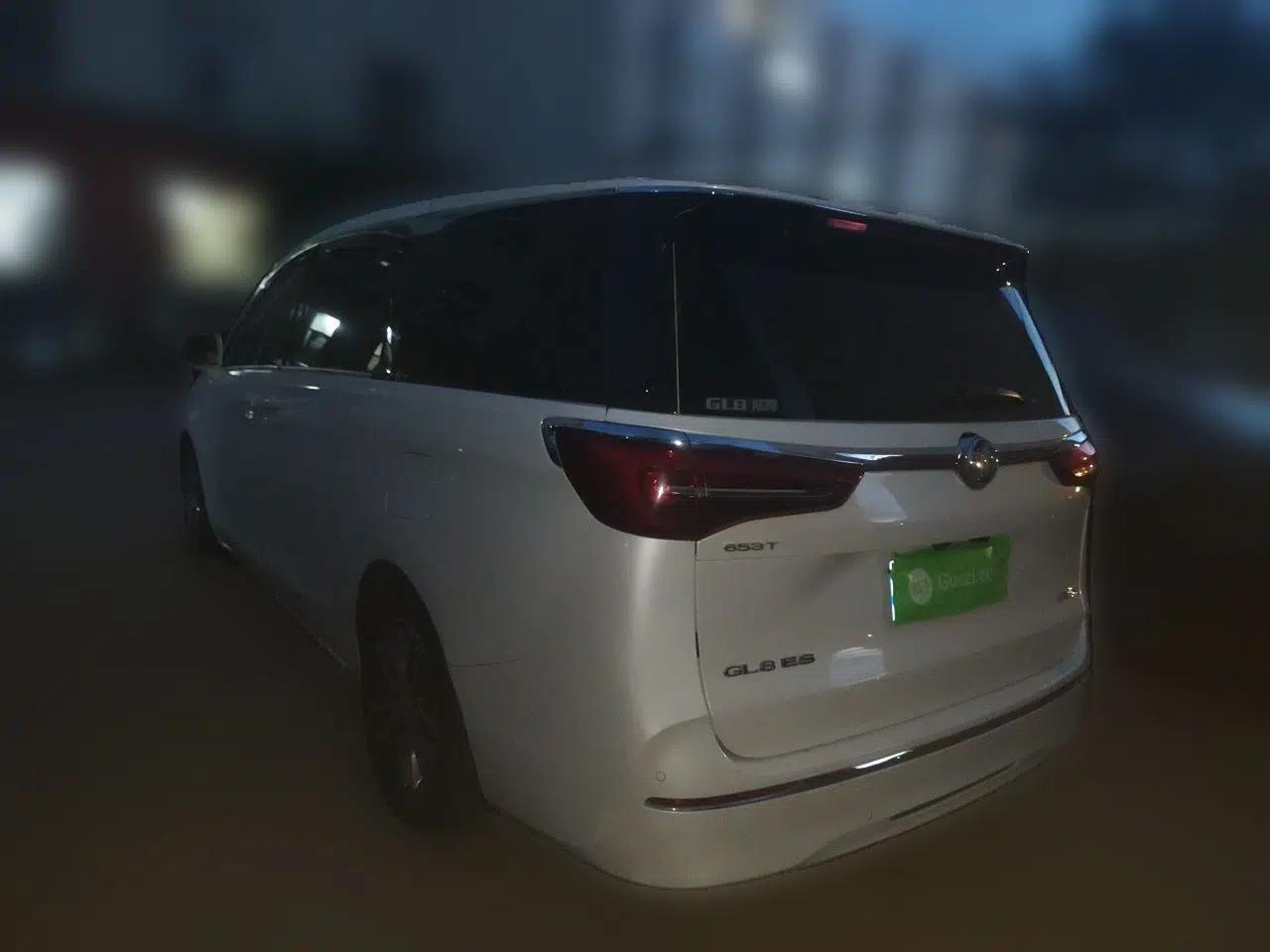 Buick GL8 2020 ES Land Cruiser 653T Luxury Edition — миниатюра 4