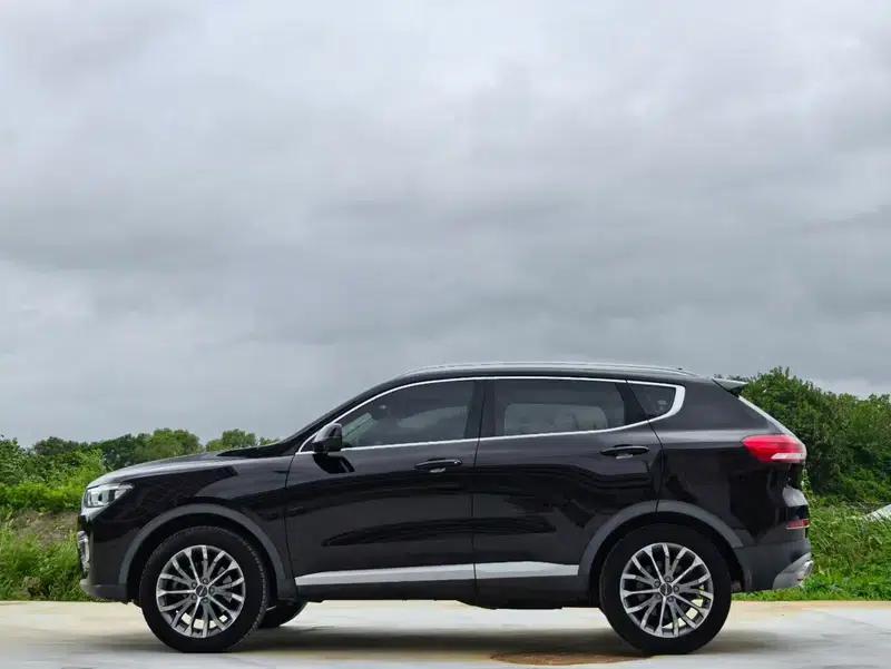 Haval H6 2020 1.5GDIT Automatic Platinum Champion Edition — миниатюра 3