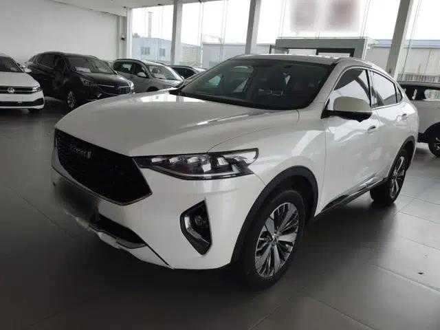 Haval F7x 2019 2.0T Two-Wheel Drive Smart & Stylish Play Edition
