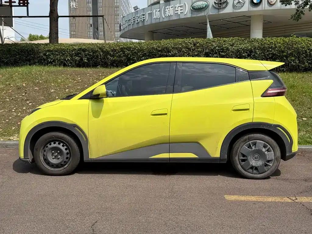 Seagull 2023 Vitality Edition — миниатюра 3