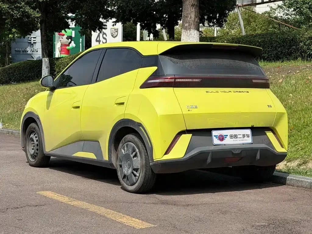 Seagull 2023 Vitality Edition — миниатюра 4