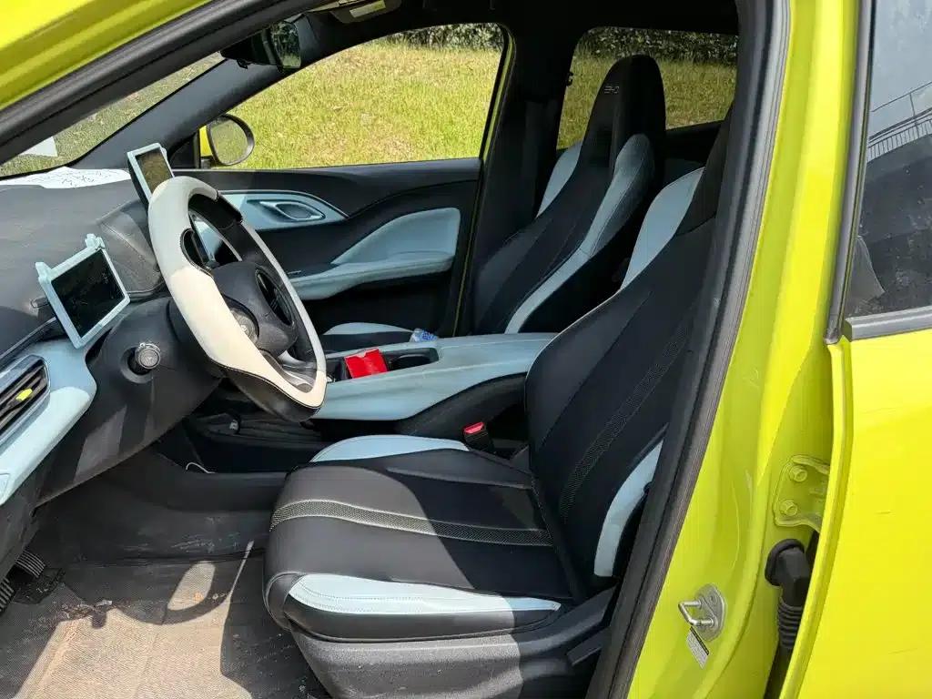 Seagull 2023 Vitality Edition — миниатюра 8