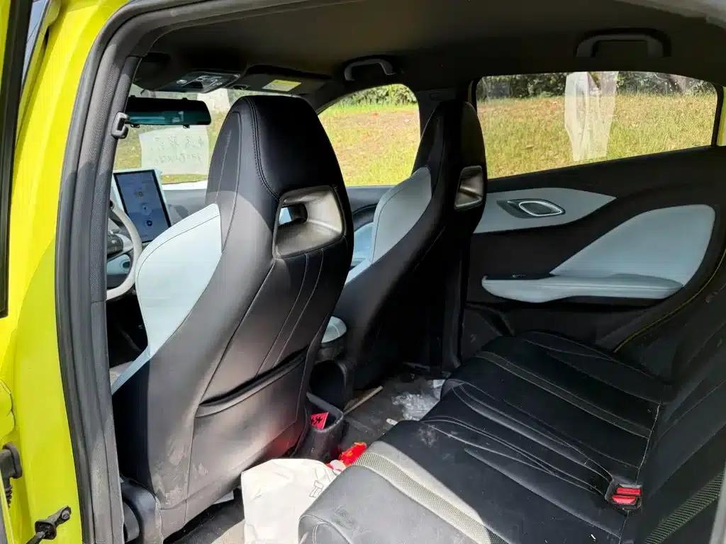 Seagull 2023 Vitality Edition — миниатюра 10