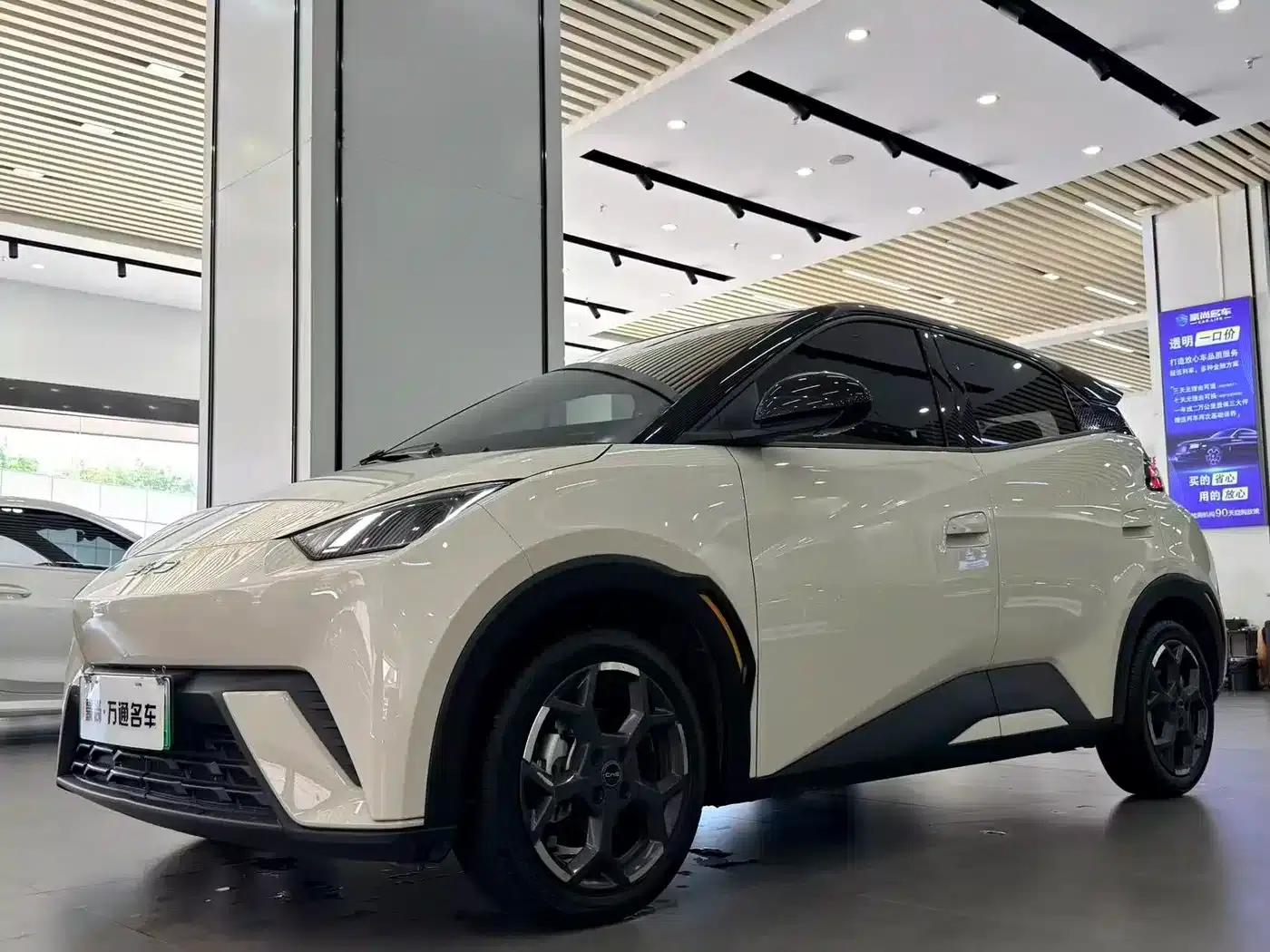Seagull 2025 305km Freedom Edition — миниатюра 1