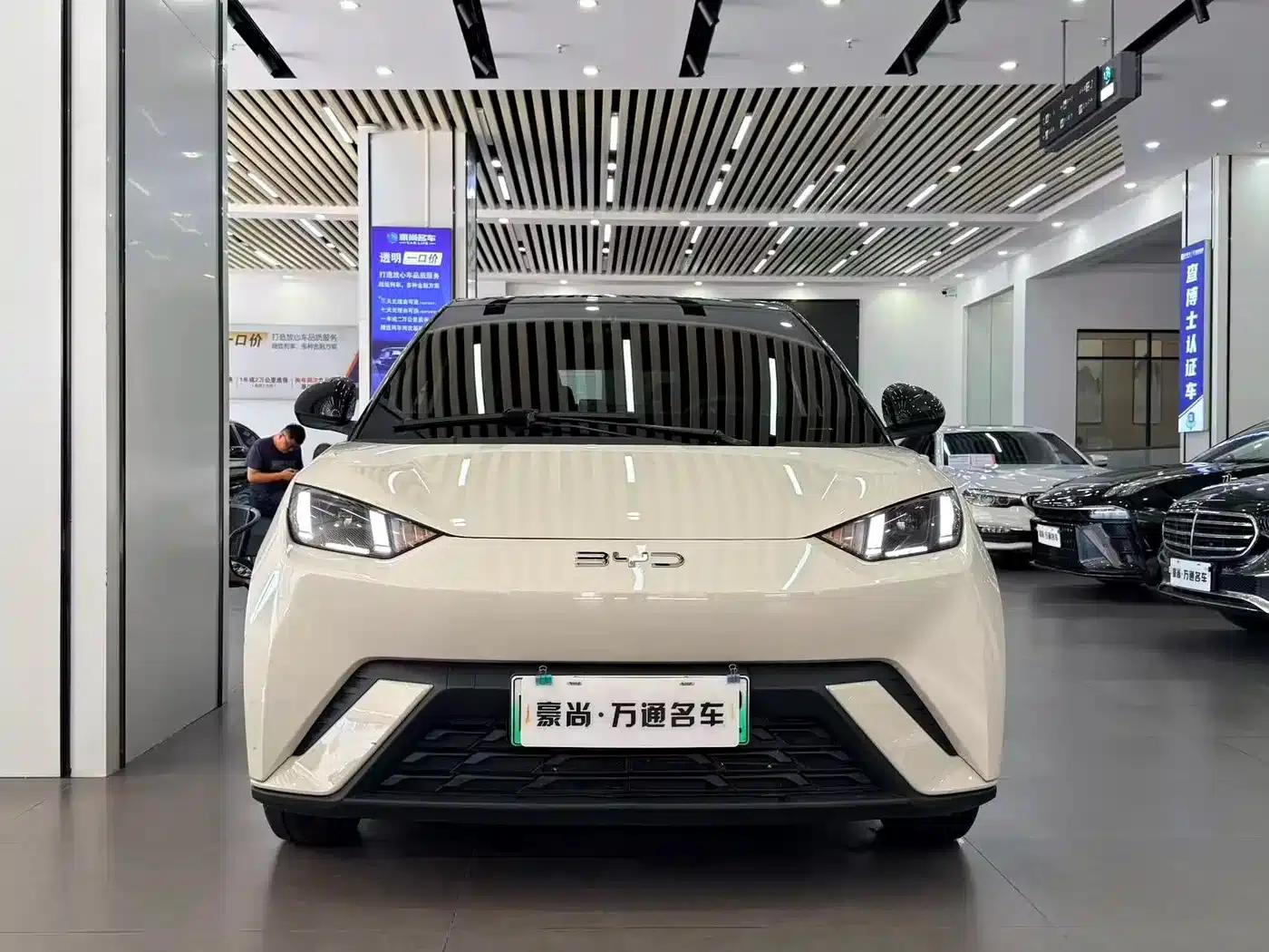 Seagull 2025 305km Freedom Edition — миниатюра 2