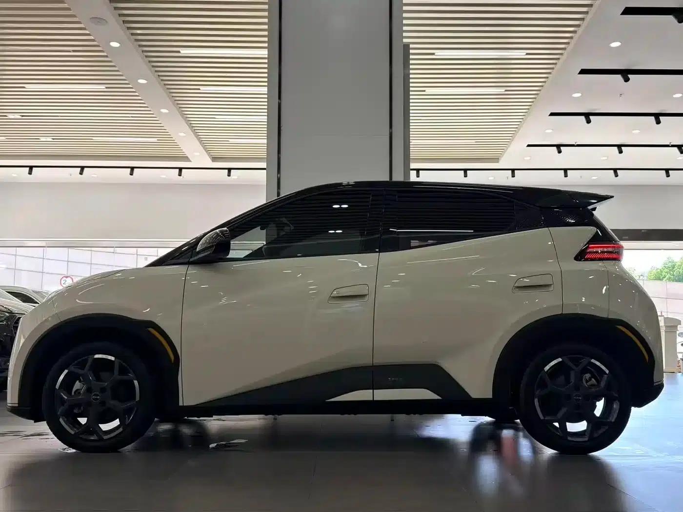 Seagull 2025 305km Freedom Edition — миниатюра 3