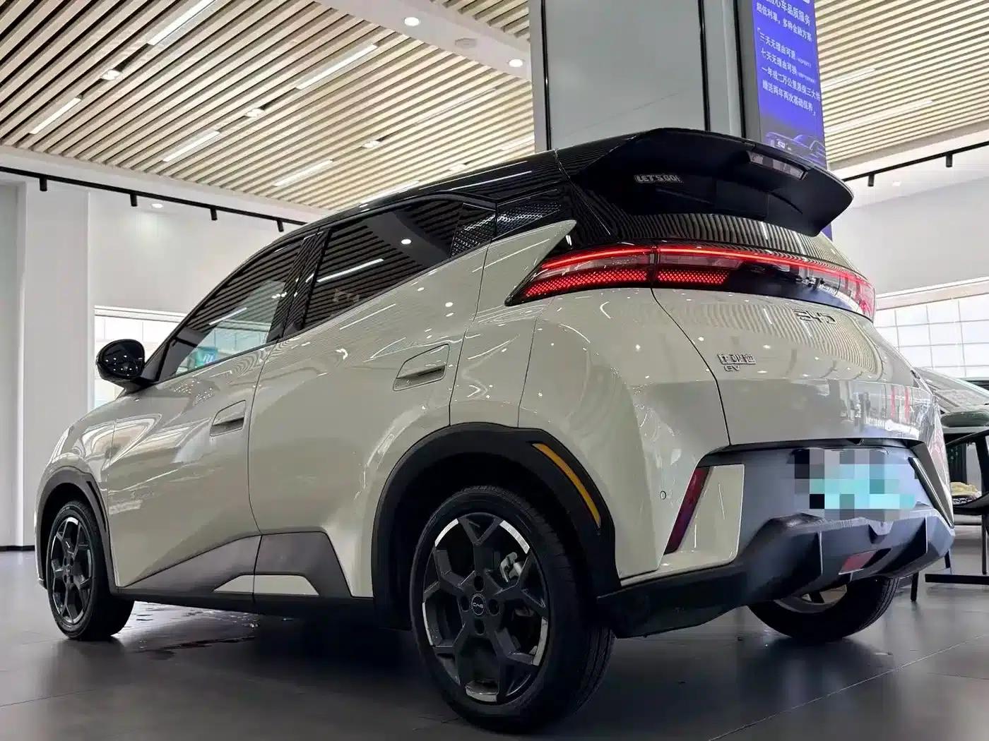Seagull 2025 305km Freedom Edition — миниатюра 4