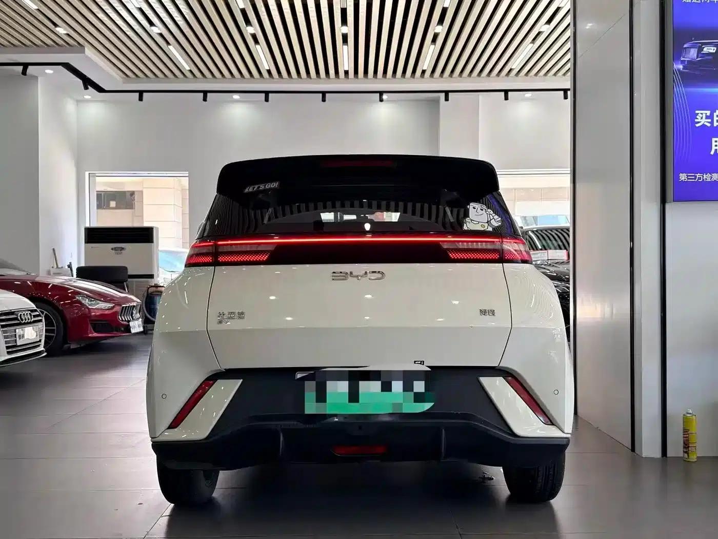 Seagull 2025 305km Freedom Edition — миниатюра 5