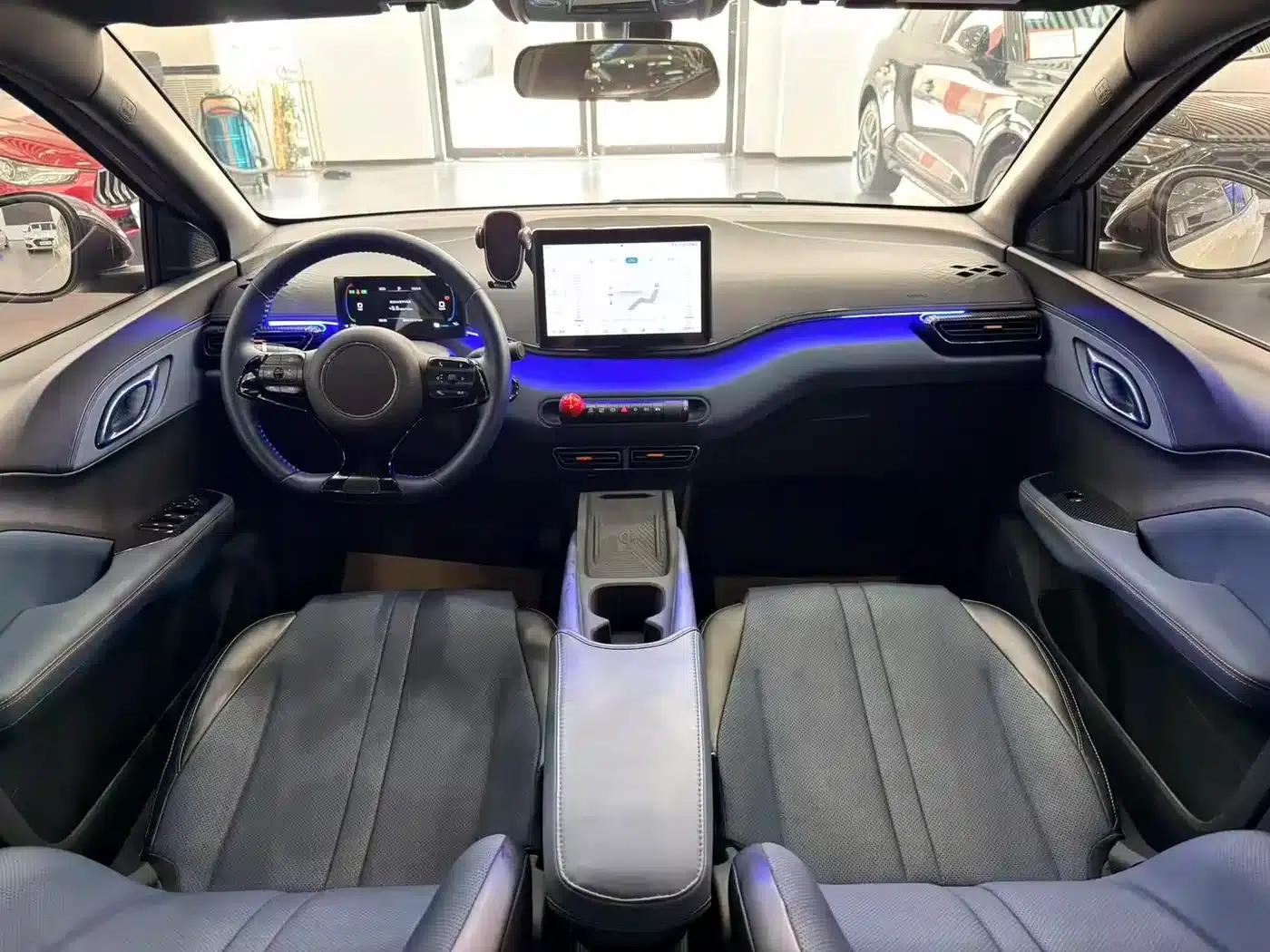 Seagull 2025 305km Freedom Edition — миниатюра 7