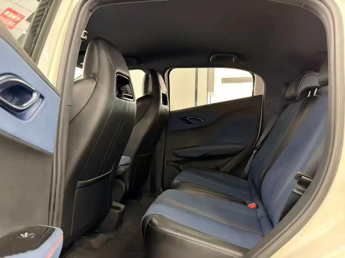 Seagull 2025 305km Freedom Edition — миниатюра 9