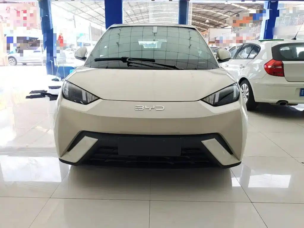 Seagull 2024 Glory Edition 305km Freedom Edition — миниатюра 3