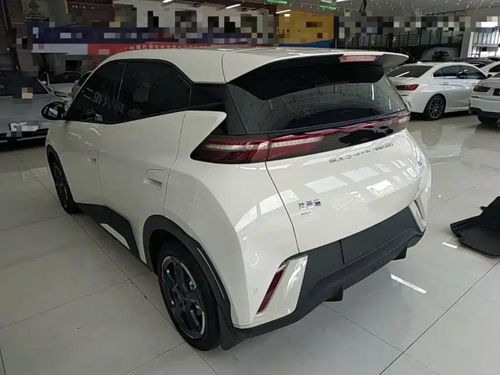 Seagull 2024 Glory Edition 305km Freedom Edition — миниатюра 5