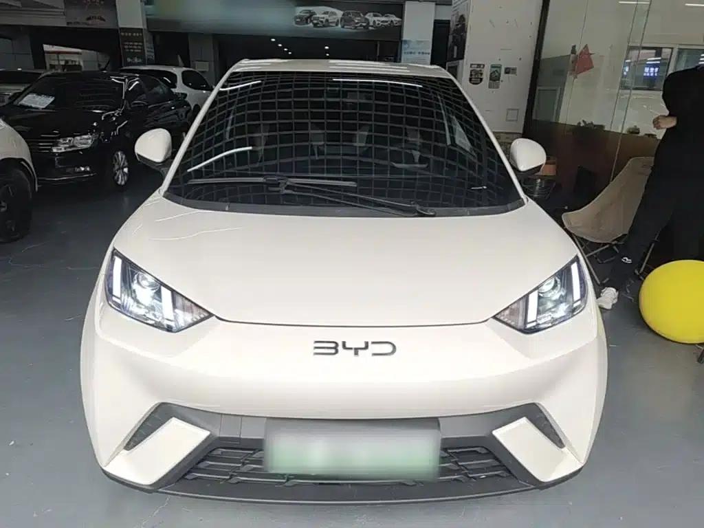 Seagull 2025 305km/h Dynamic Edition — миниатюра 3