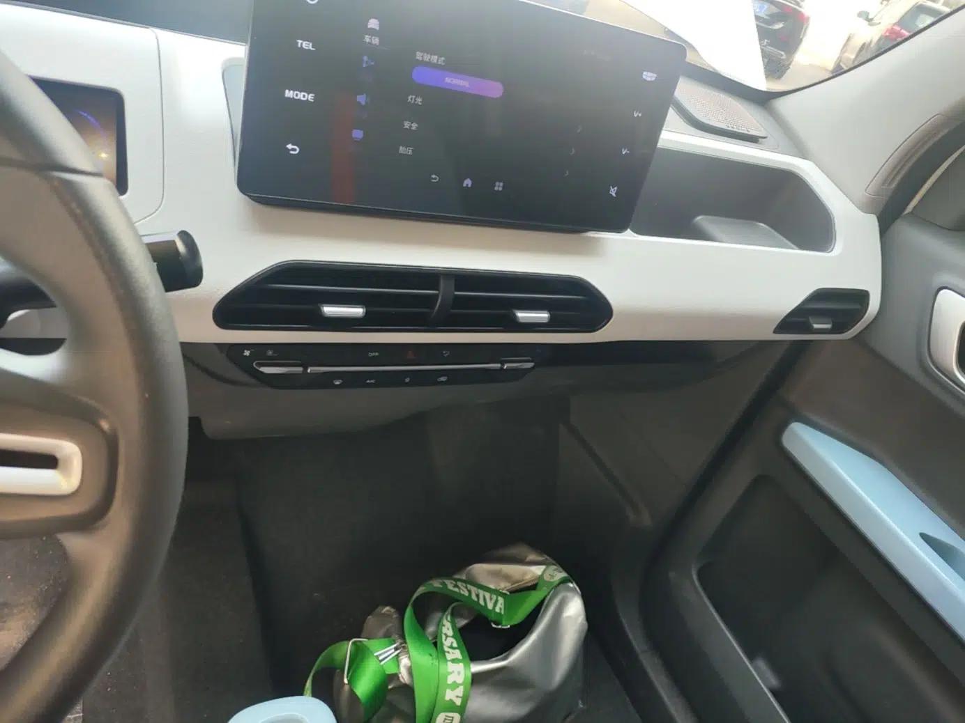 Geely Galaxy Panda 2024 Panda Mini 200km Endurance Bear — миниатюра 15