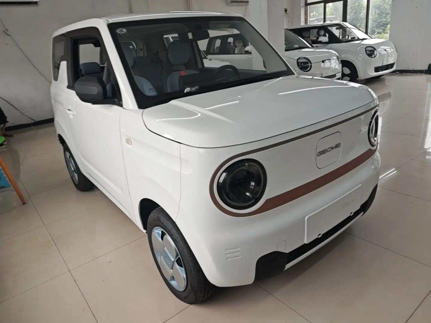 Geely Galaxy Panda 2024 Panda Mini 200km Endurance Bear — миниатюра 3