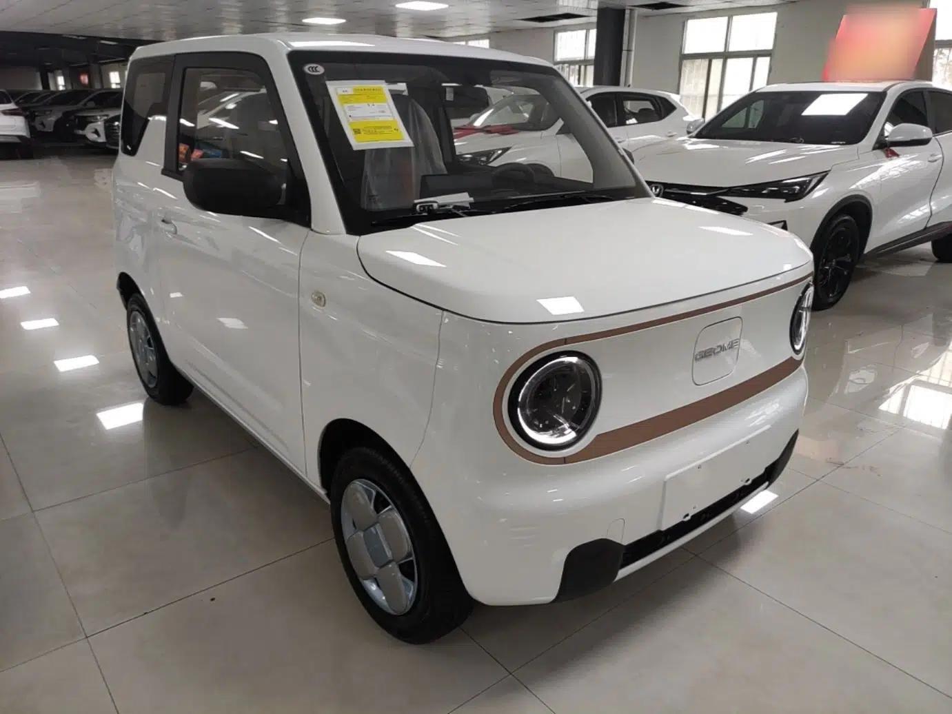 Geely Galaxy Panda 2024 Panda Mini 200km Endurance Bear — миниатюра 3