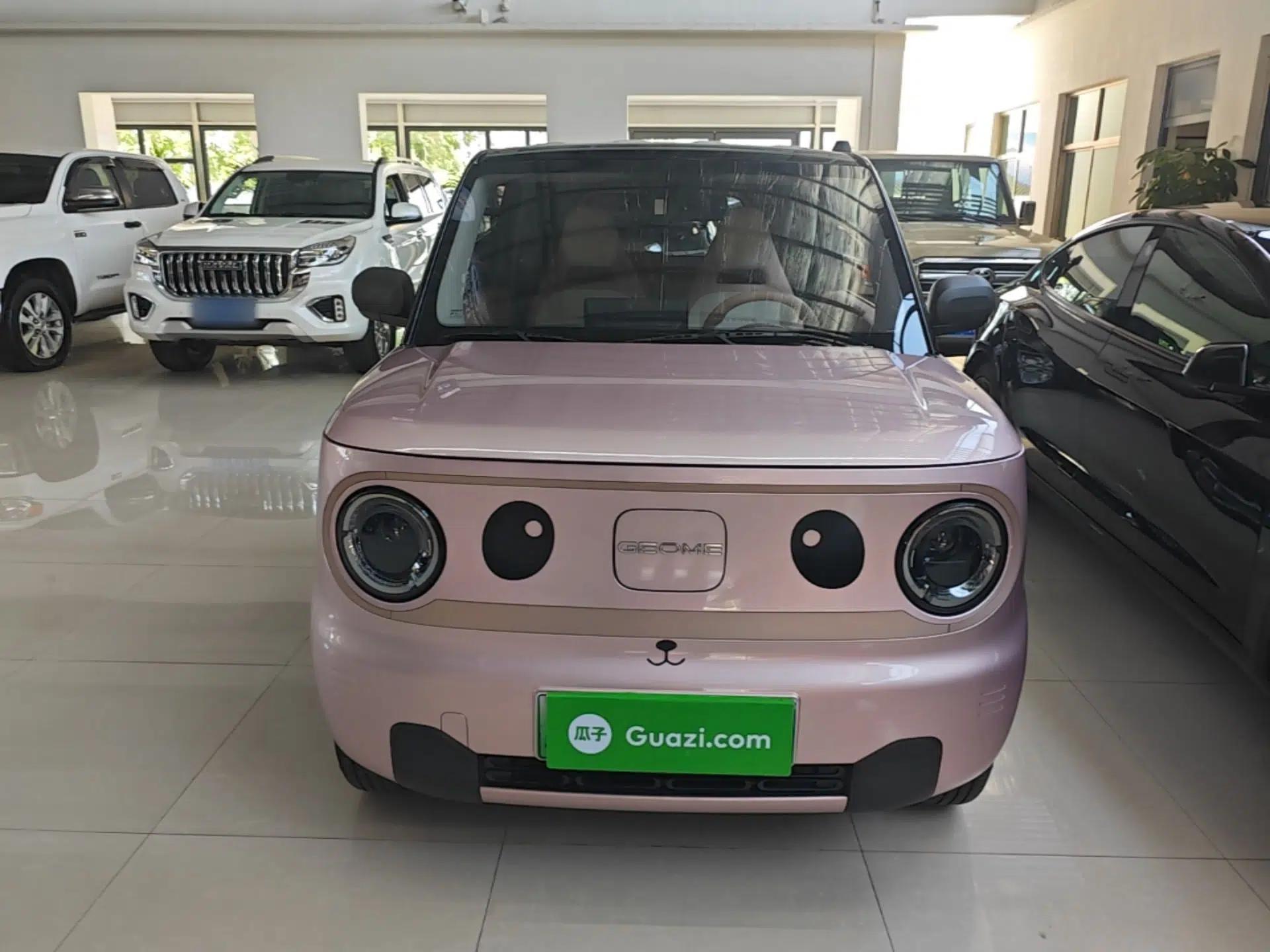 Geely Galaxy Panda 2024 Panda Mini 200km Endurance Bear — миниатюра 2
