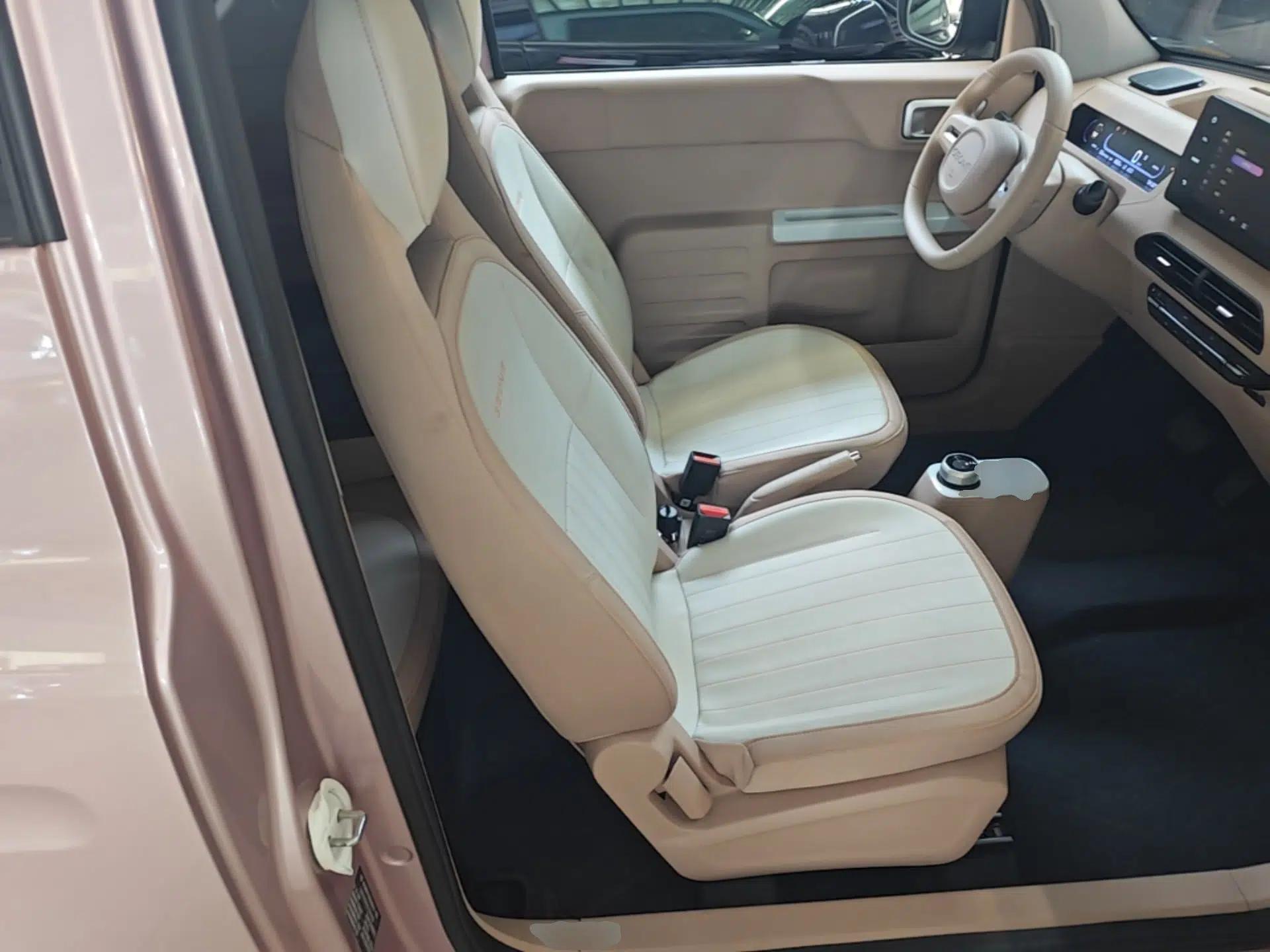 Geely Galaxy Panda 2024 Panda Mini 200km Endurance Bear — миниатюра 24