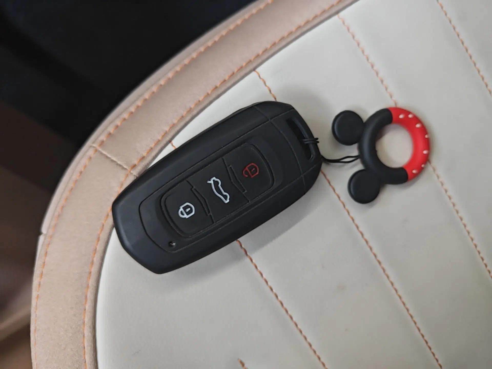Geely Galaxy Panda 2024 Panda Mini 200km Endurance Bear — миниатюра 28