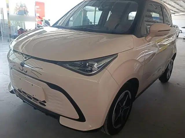 Cowin October 2023 301km Zhi Feng Edition