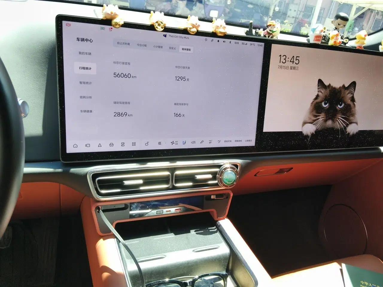 Li Auto L8 2023 Pro Model — миниатюра 13