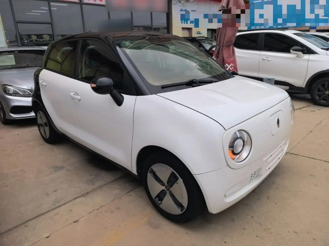 ORA Black Cat 2021 301 km Basic Version — миниатюра 3