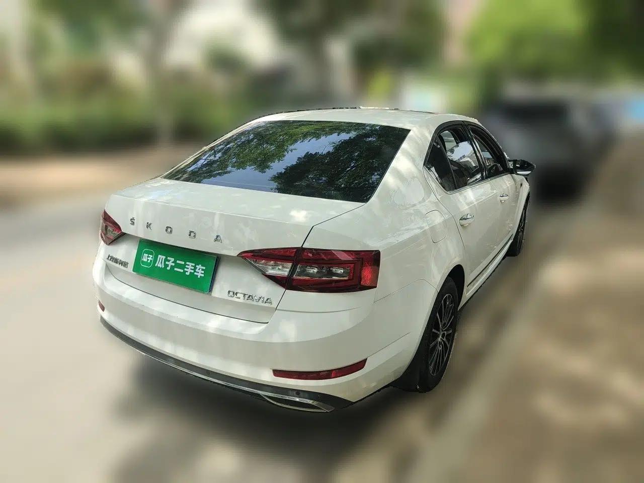 Skoda Octavia 2019 1.5L Automatic Smart Drive Luxury Edition China VI Standard — миниатюра 6