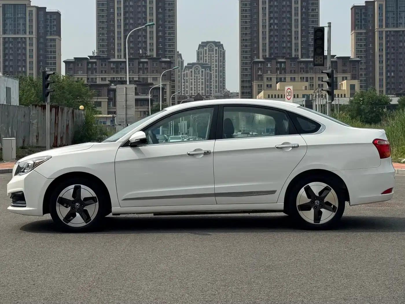 Dongfeng Fengshen E70 2020 500 Super Enjoy Edition — миниатюра 9